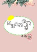 丞相病重