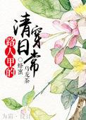 路人甲的清穿日常书包网