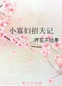 小寡妇招夫记大结局