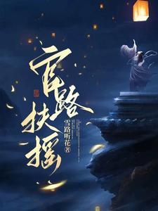官路扶摇在线阅读