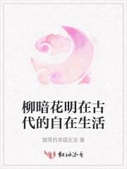 柳暗花明属于什么故事