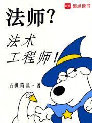 法师?法术工程师!中斯诺