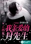 在见我亲爱的封先生