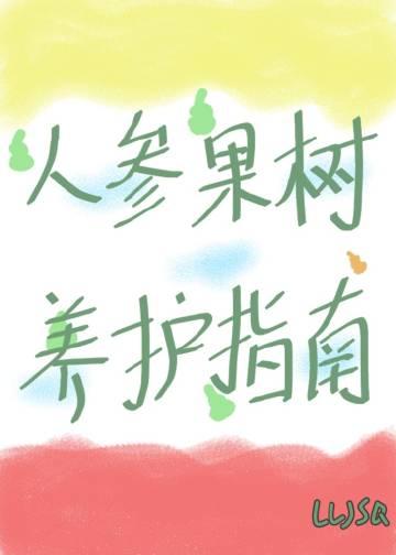 人参果树苗怎么种植管理