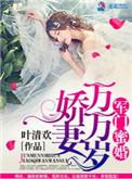 军门蜜婚娇妻万万岁TXT