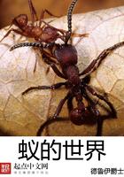 蚂蚁的世界视频