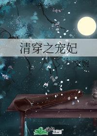 清穿之宠妃有空间全文