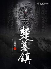 楚墓镇主角