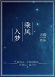 乘风入梦全本目录