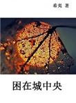 困在城中央好看吗