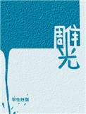 雕光by平生好剑全文阅读