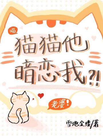 猫喜欢你会有什么表现