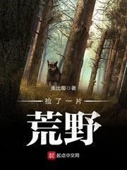 捡了一片荒野tⅹt