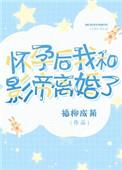 怀孕后我和影帝离婚了 臣音
