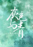 灰色与青是个什么故事