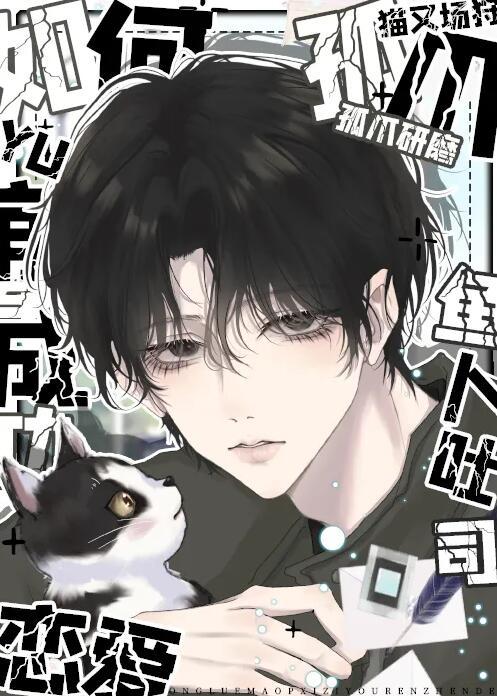 攻略猫系二传真的没问题吗免费