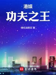 港娱功夫之王加料版