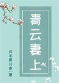 青云妻上百度
