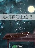 心机寡妇上位记笔趣阁