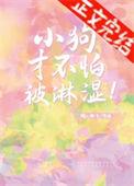 狗怕雨水淋湿吗