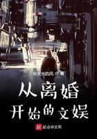 从离婚开始的文娱TXT奇书网
