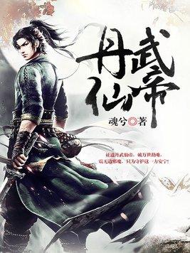 丹武仙帝叶无仙笔趣阁