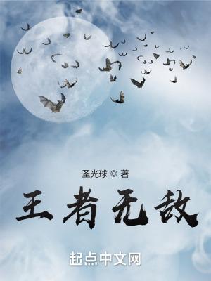 王者无敌的英雄