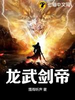 龙武帝极剑蓝图