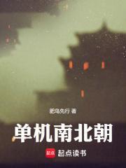 单机南北朝完整版免费听书