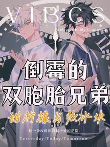 双胞胎兄弟征婚事件