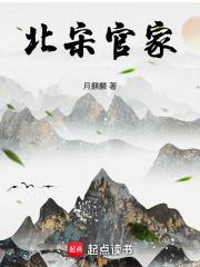 北宋官家手打版