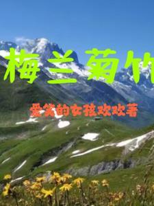 梅兰菊竹三六九正确一肖