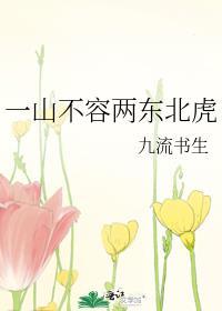一山不容两东北虎 九流书生txt