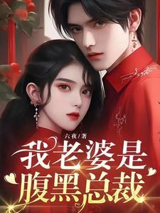 我的老婆是黑社会