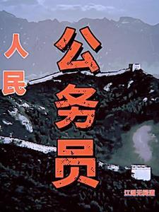 宦海权威完整版
