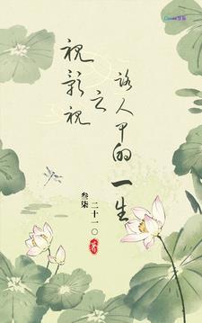 综影视路人甲的视觉