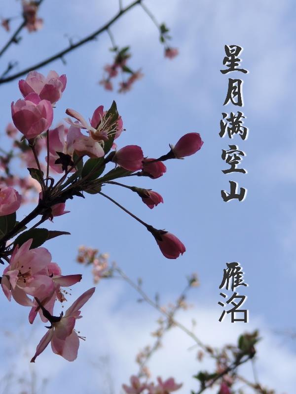 星空满月是啥意思