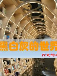 黑白灰的世界怎么画
