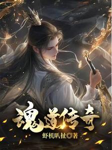 道魂搭配攻略