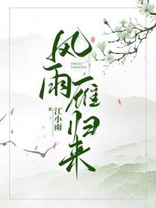 风雨燕归来百度贴吧