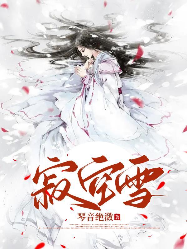 寂空雪琴音绝潋