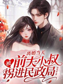 离婚当天被前夫小叔拐进民政局完结了吗