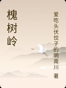 槐树岭统建房进展最新消息