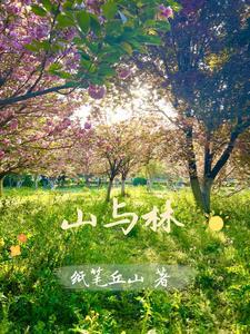 山与林夕