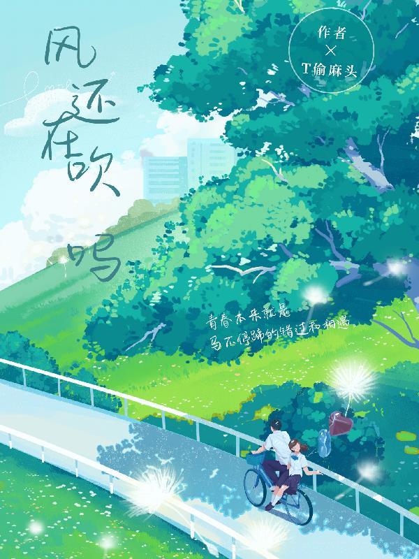 风还在吹吗T偷麻头