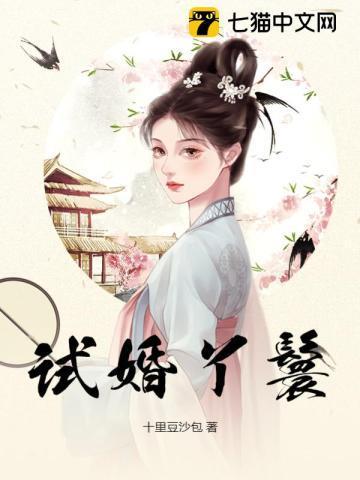 试婚丫鬟免费阅读