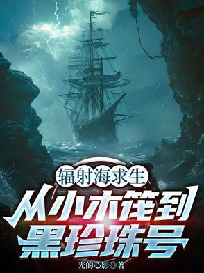 辐射岛完整攻略