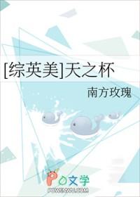 天之杯第一季