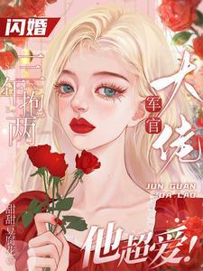 首长!你媳妇又又又又又怀孕了txt