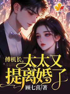 傅机长太太又提离婚了